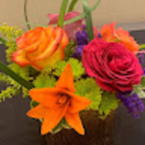 Meet your Posher, Jane